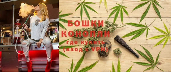 PSILOCYBIN Волоколамск